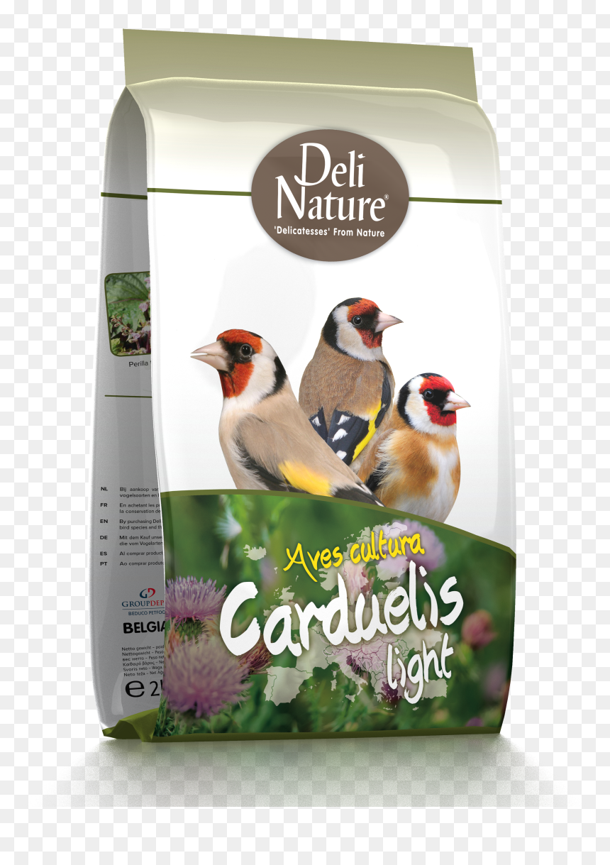 Deli Nature Aves Cultura Carduelis, HD Png Download - delibird png