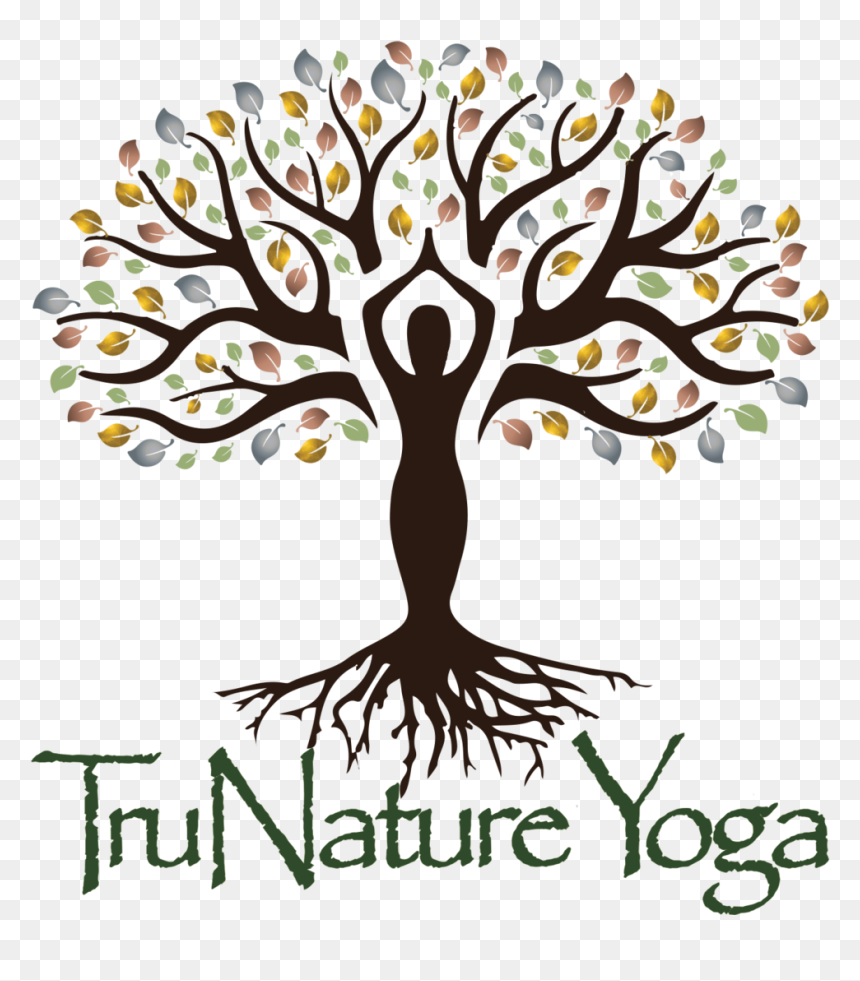 Trunatureyoga-clean - Social Media Logo Tree Png, Transparent Png - reiki png