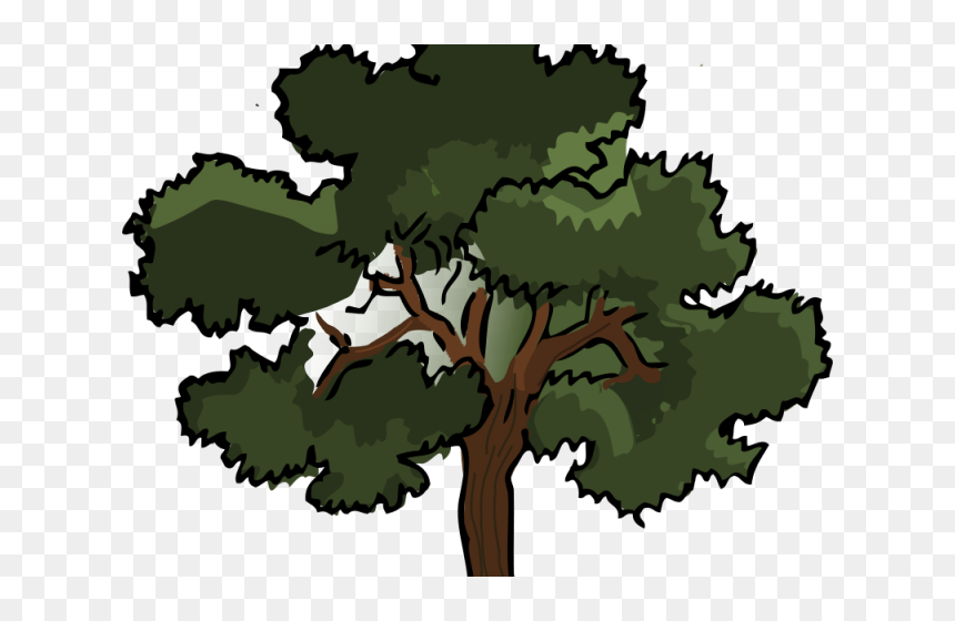Jungle Trees- Clipart - Live Oak Tree Clipart, HD Png Download - jungle trees png