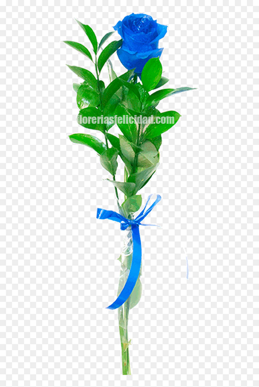 Houseplant, HD Png Download - flores azules png