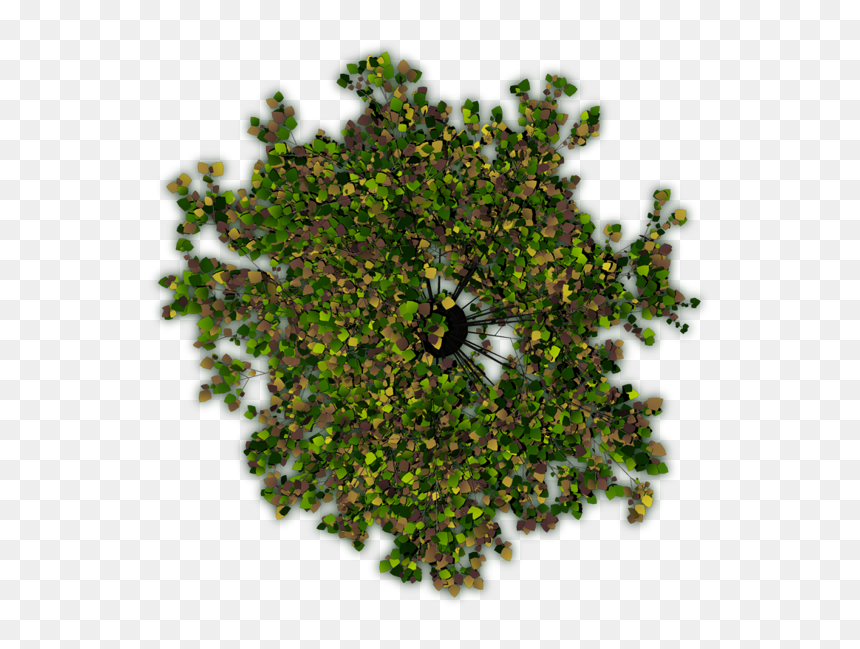 The First One Is Crap, Because Of The Hard Shadows, HD Png Download - crap png
