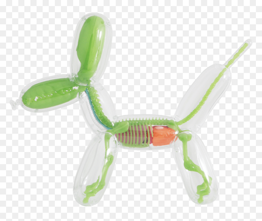 Balloon Dog Anatomy By Jason Freeny Gid Edition, HD Png Download - balloon animal png