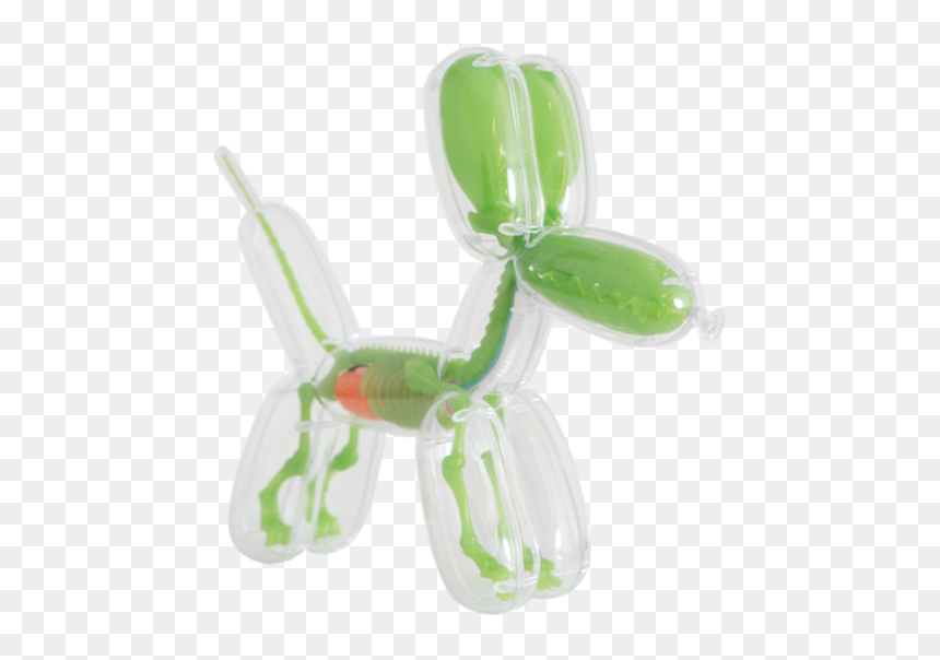 Balloon Dog Anatomy By Jason Freeny "

 
 Data Rimg="lazy"
 - Balloon Dog Anatomy By Jason Freeny Gid Eidtion, HD Png Download - balloon animal png
