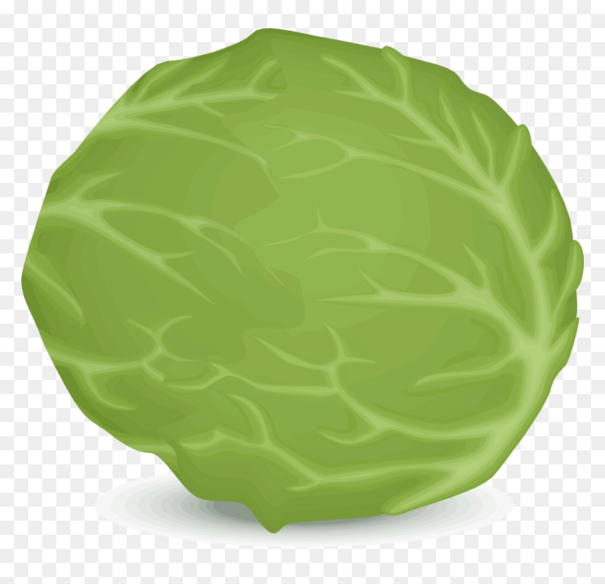 Leaf,food,green - Lettuce Clipart Png, Transparent Png - salad clipart png
