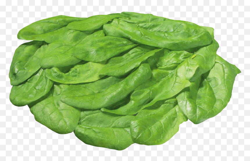 Download For Free Salad Icon Png - Piece Of Lettuce Transparent, Png Download - salad clipart png