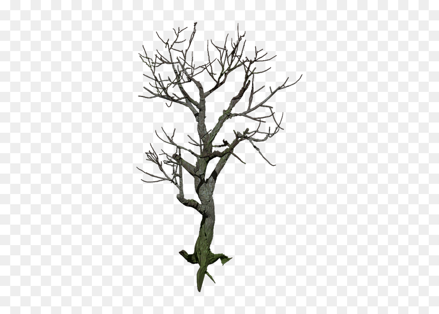 Tree Isolated Digital Art - Png Isolated Trees, Transparent Png - mystical png
