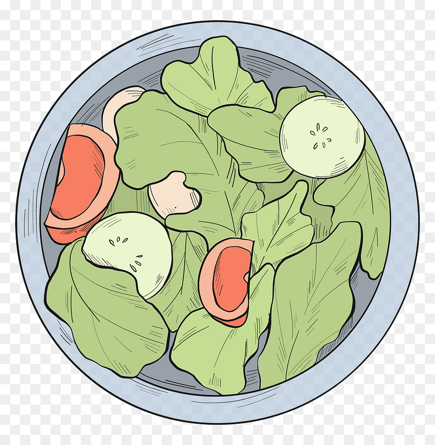 Lettuce Clipart - Cabbage, HD Png Download - salad clipart png