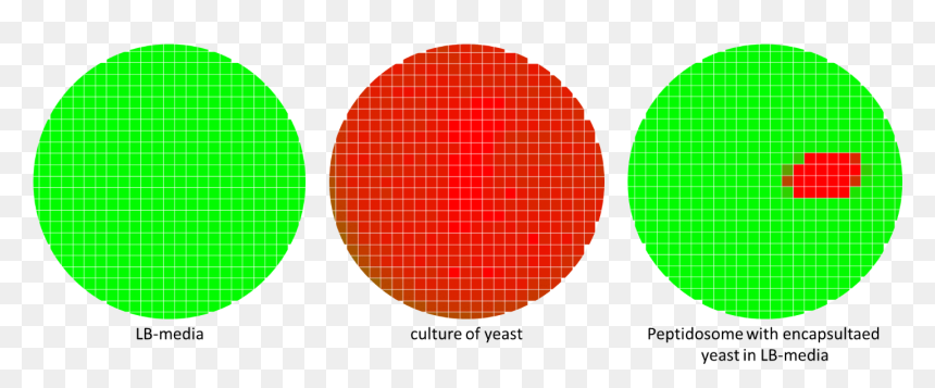 Transparent No Signal Png - Christmas Day, Png Download - no signal png