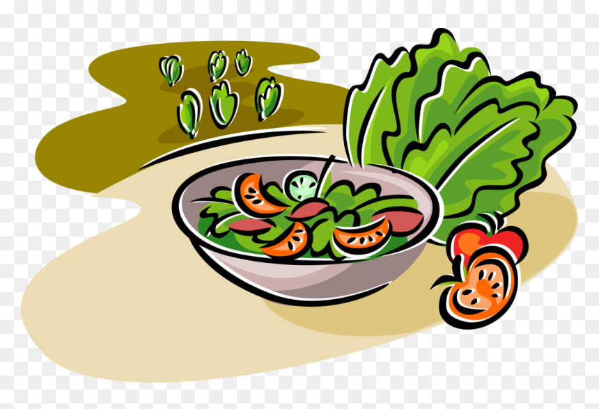 Vector Illustration Of Fresh Green Salad With Romaine - Cooked Vegetables Clipart, HD Png Download - salad clipart png