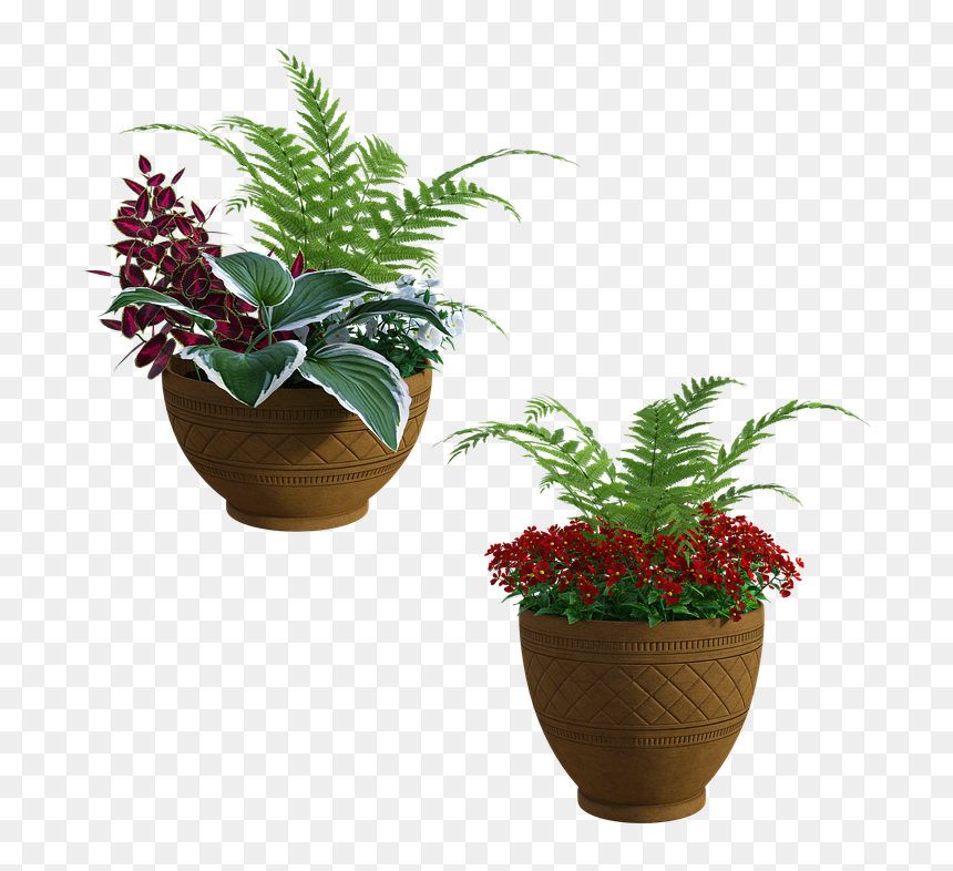 Flowerpot, HD Png Download - garden plants png