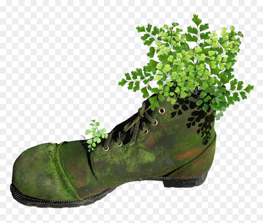 Boot, Old, Mossy, Planter, Fern, Garden, Novelty - Old Boot Png, Transparent Png - garden plants png
