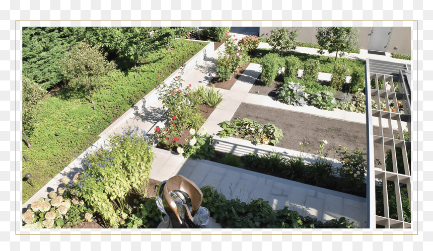 Terrain Seattle Flora Plants Garden 05 - Yard, HD Png Download - garden plants png