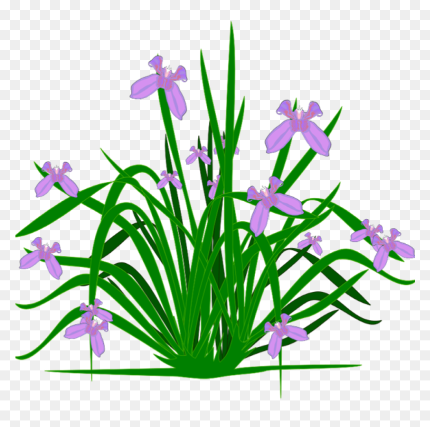 Free Clipart Plants Free Clipart Plants Plants Clip - Flower Small Plants Clipart, HD Png Download - garden plants png