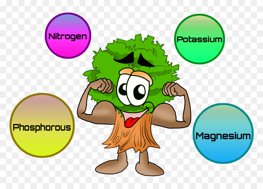 Nutrients For Plants Clip Art - Nutrients Clipart, HD Png Download - garden plants png