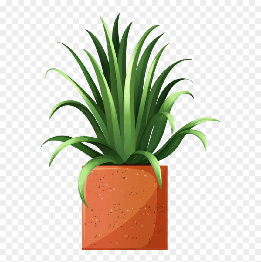 Clip Art Of Beautiful Plants For The Spring Garden - Potted Plant Clip Art, HD Png Download - garden plants png