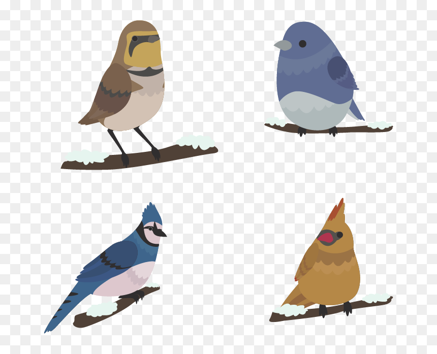 Bird Winter Euclidean Vector - Птички Png, Transparent Png - cute birds png