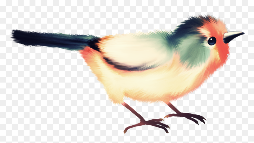 Фотки Birds, Bird Watching, Album, Cute, Clip Art, - Un Mot Avec La Lettre E Madrassati, HD Png Download - cute birds png