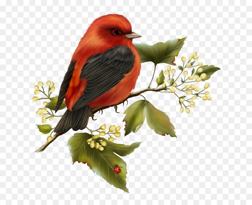 Bird With Flower Clipart Picture Library Red And Black - Birds On Flowers Clipart, HD Png Download - cute birds png