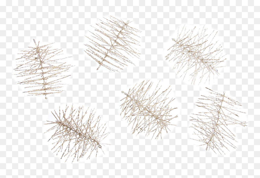 Christmas Tree, HD Png Download - pine needles png
