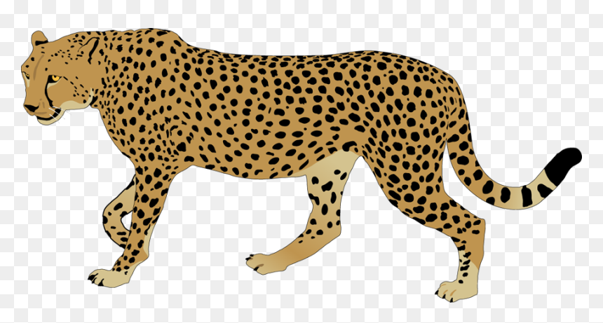 Cheetah Clipart Png, Transparent Png - bassoon png