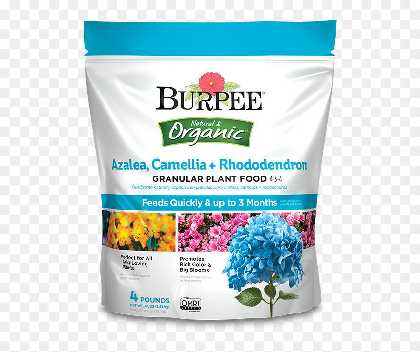 Burpee, HD Png Download - rhododendron png