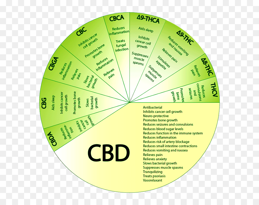 Benefits Of Smoking Cbd Flower, HD Png Download - tostilocos png