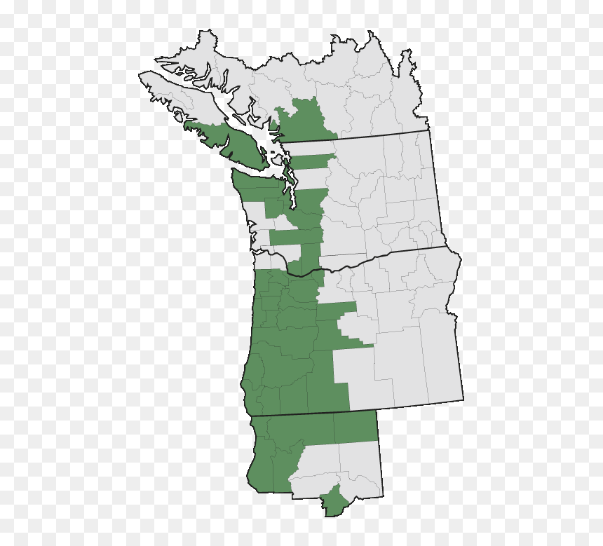 Pacific Northwest Marshes, HD Png Download - rhododendron png