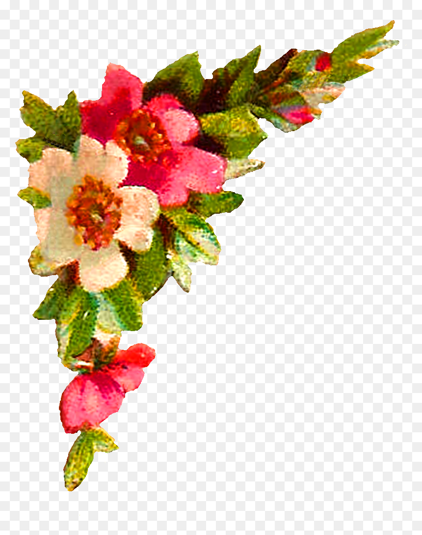 12 Rabi Ul Awal Ki Dua, HD Png Download - transparent png images roses