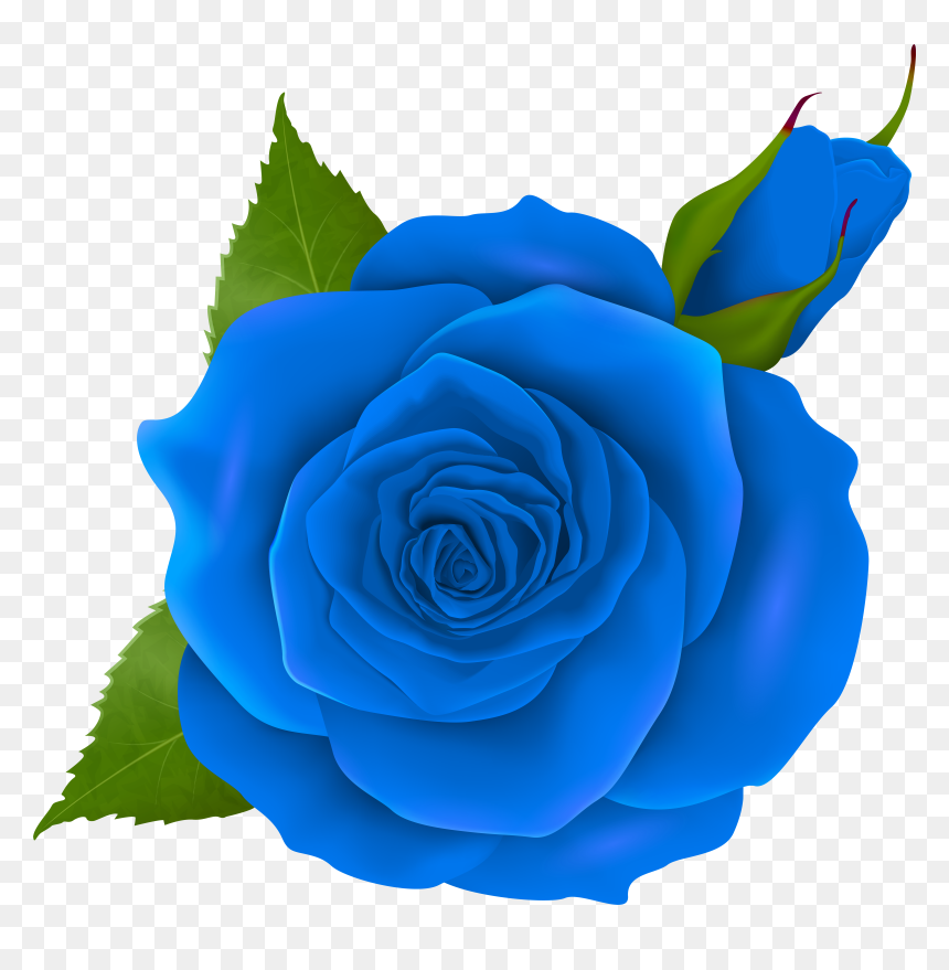 Transparent Png Images Roses, Png Download - transparent png images roses