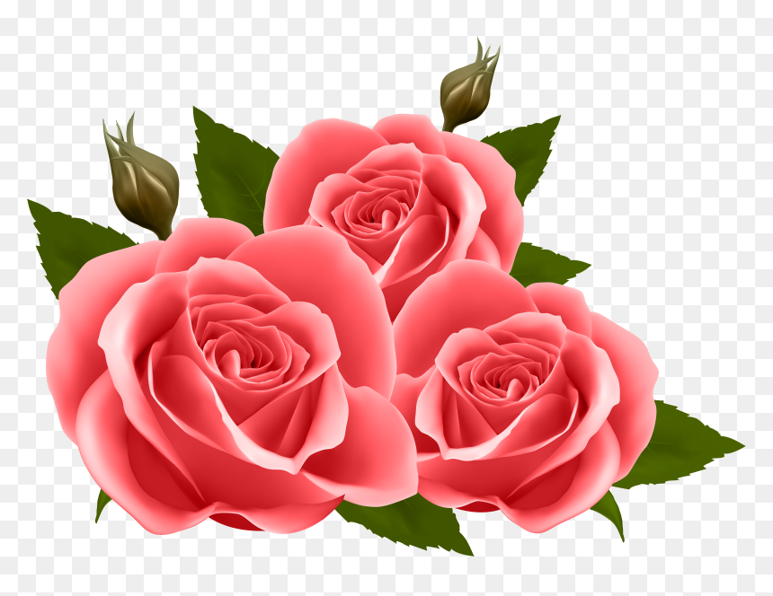 Birthday Wishes For Best Friend In English, HD Png Download - transparent png images roses