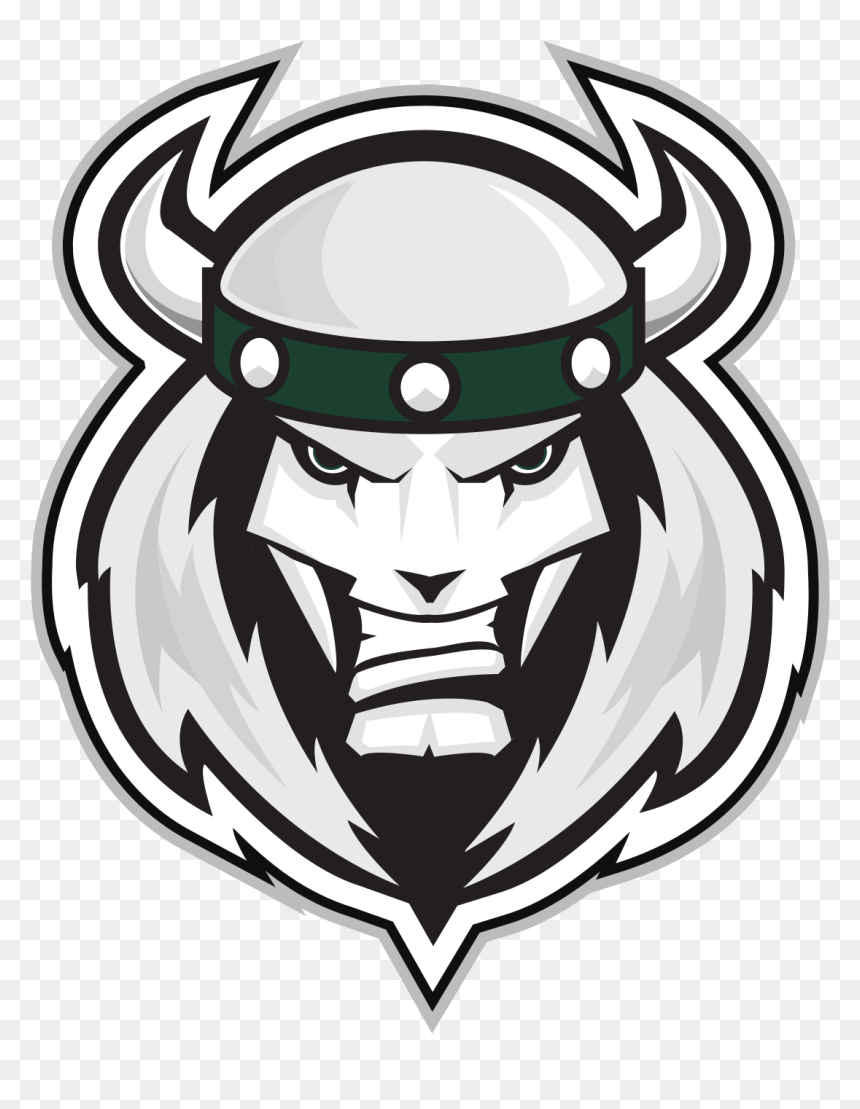 Woodstock Slammers, HD Png Download - woodstock png