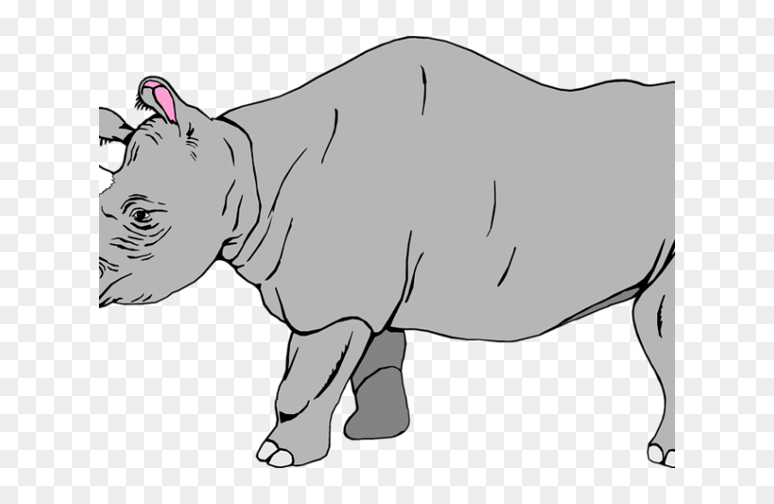 White Rhino Clipart, HD Png Download - rhinoceros png
