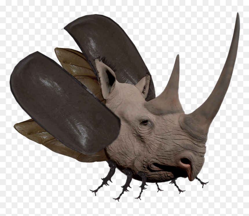 Black Rhino Horn, HD Png Download - rhinoceros png