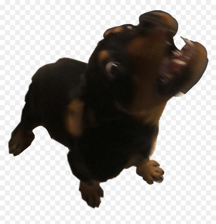 Angery Png, Transparent Png - angery png