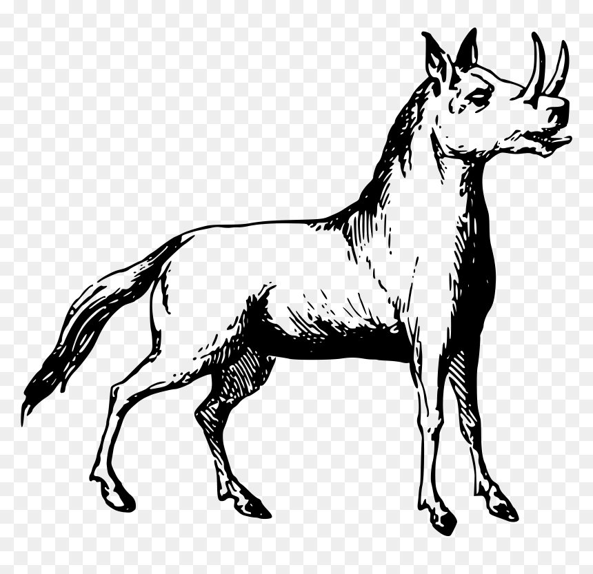 African Monster, HD Png Download - rhinoceros png
