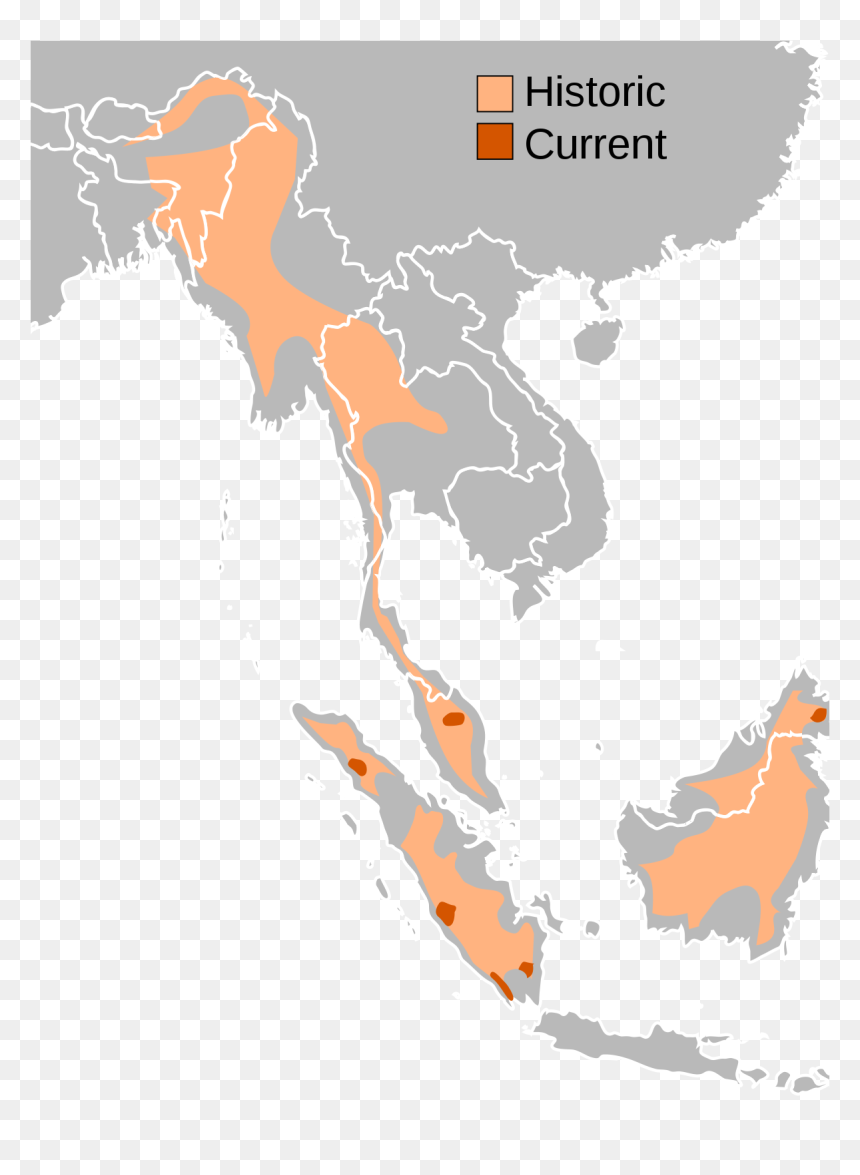 Sumatran Rhino Distribution Map, HD Png Download - rhinoceros png