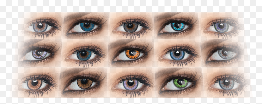 Eye Shadow, HD Png Download - monster eyes png