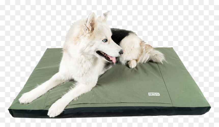 Wolfdog, HD Png Download - dog bed png