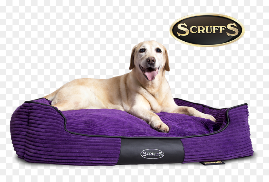 Dog Bed Png, Transparent Png - dog bed png