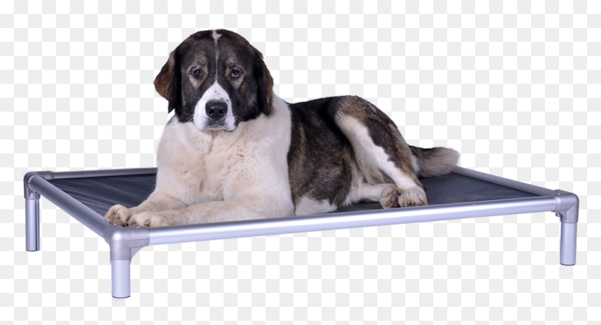 Kuranda Dog Bed, HD Png Download - dog bed png