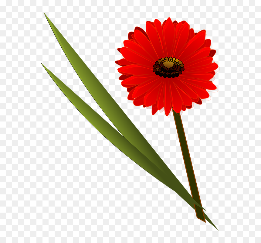 Flower Clip Art, HD Png Download - daisy clipart png