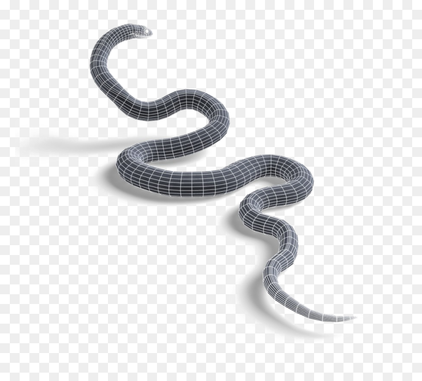 Snake On Clear Background, HD Png Download - black mamba png