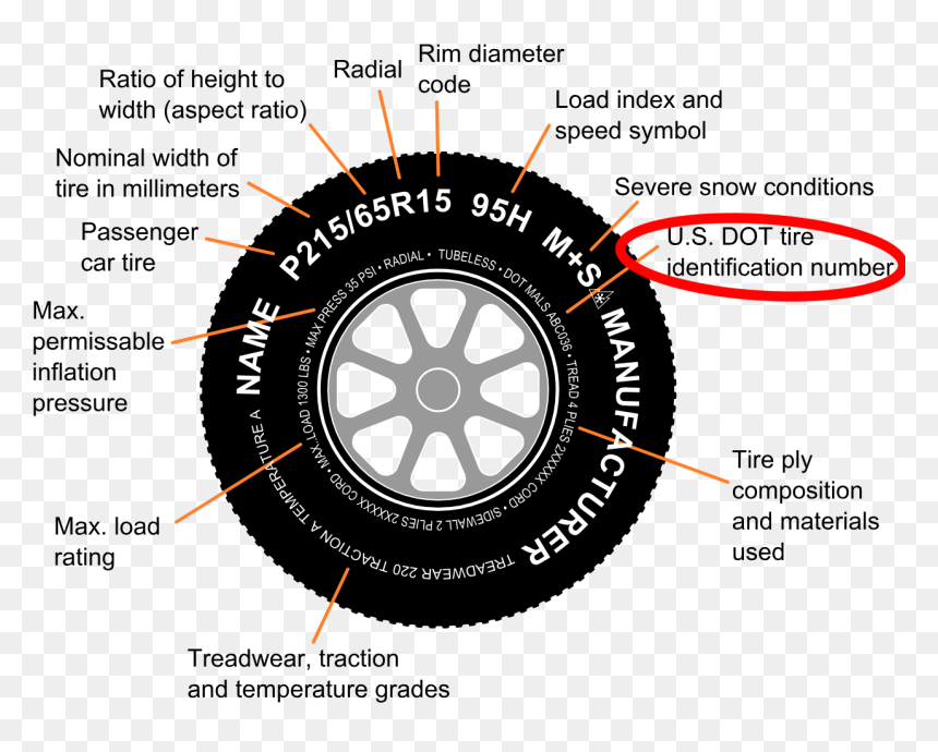 Middle Part Of Tire, HD Png Download - circled png
