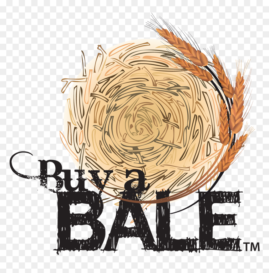 Buy A Bale Charity, HD Png Download - bale png