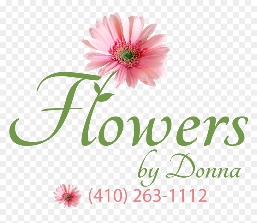African Daisy, HD Png Download - rustic flower png