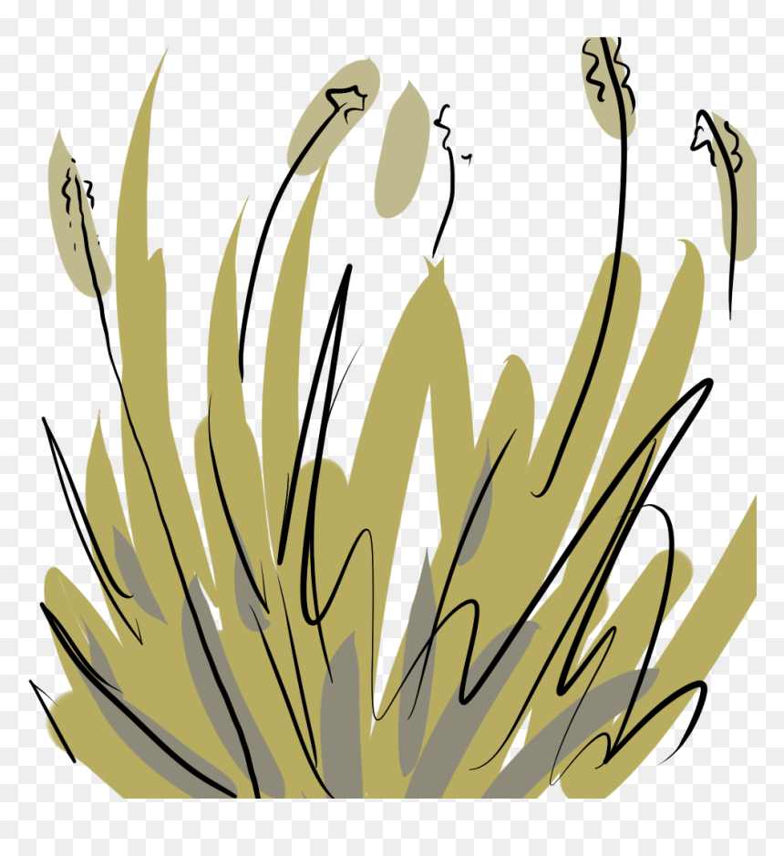Clip Art, HD Png Download - desert plants png