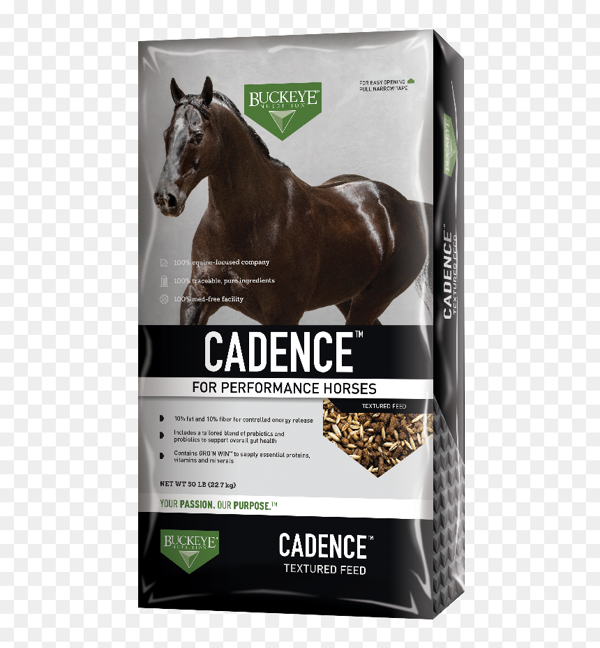 Equine Nutrition, HD Png Download - tape texture png