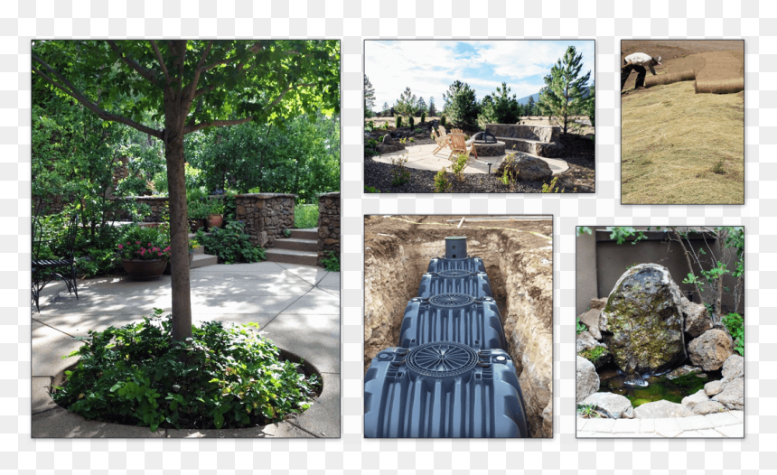 Walkway, HD Png Download - desert plants png