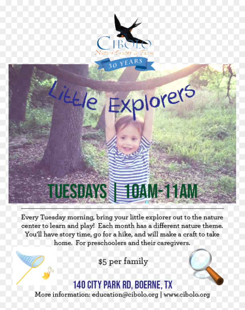 Cibolo Nature Center, HD Png Download - desert plants png