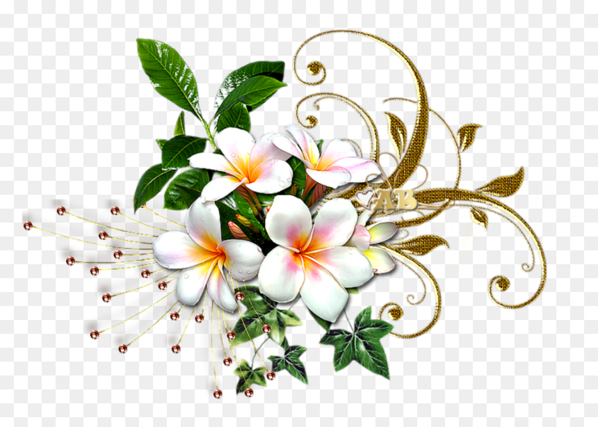 Calochortus, HD Png Download - gold flowers png